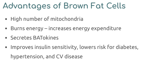 Advantages of Brown Fat Cells. High number of mitochondria Burns energy – increases energy expenditure Secretes BATokines Improves insulin sensitivity, lowers risk for diabetes, hypertension, and CV disease